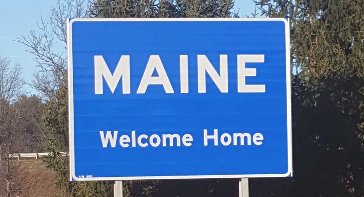 Moose Swap logo and Maine moose in the woods
